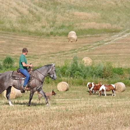 Masseria Straziuso - La Vaccariccia San Chirico Nuovo