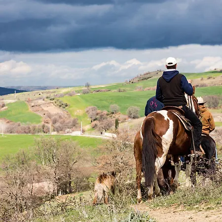 Alloggio per agriturismo Masseria Straziuso - La Vaccariccia