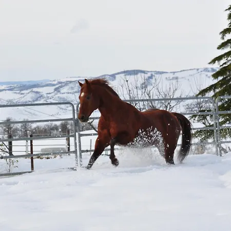 Alloggio per agriturismo Masseria Straziuso - La Vaccariccia