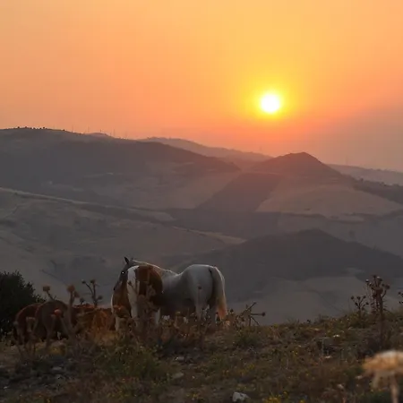 Masseria Straziuso - La Vaccariccia * San Chirico Nuovo