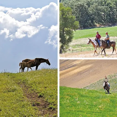 Farm stay Masseria Straziuso - La Vaccariccia *