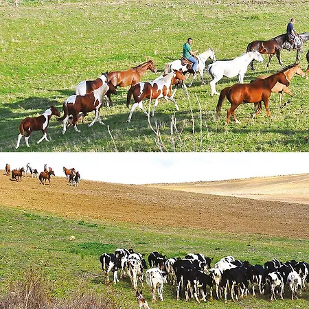 Masseria Straziuso - La Vaccariccia * San Chirico Nuovo