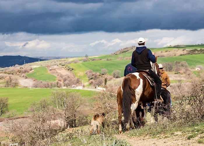 Alloggio per agriturismo Masseria Straziuso - La Vaccariccia