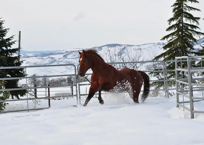 Alloggio per agriturismo Masseria Straziuso - La Vaccariccia