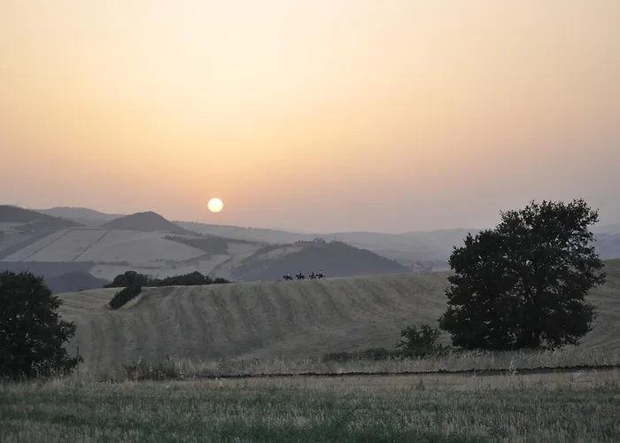 Alloggio per agriturismo Masseria Straziuso - La Vaccariccia San Chirico Nuovo