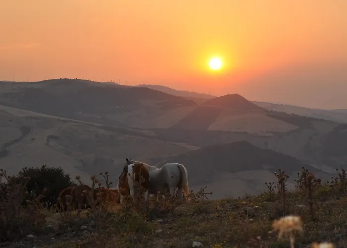 Masseria Straziuso - La Vaccariccia * San Chirico Nuovo