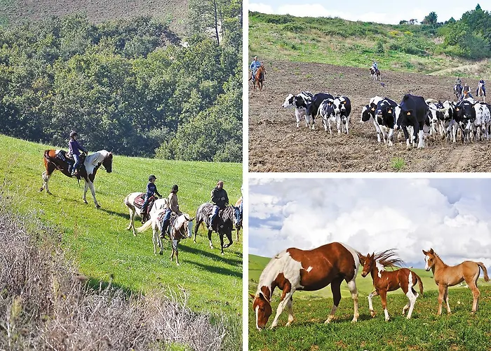 Masseria Straziuso - La Vaccariccia * San Chirico Nuovo
